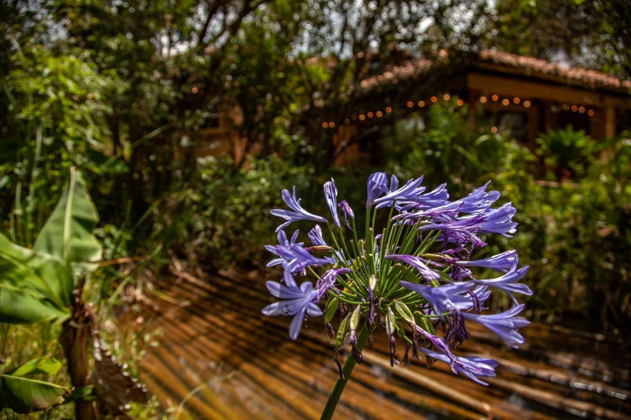 Clavellino House En Villa De Leyva - Tranquilidad Y Naturaleza En Reserva Natural Urbana! Dış mekan fotoğraf