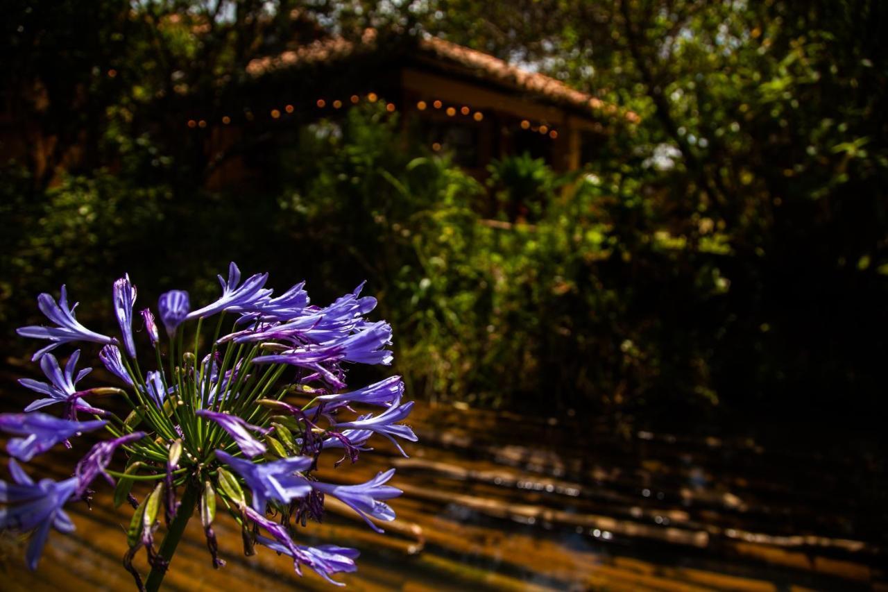 Clavellino House En Villa De Leyva - Tranquilidad Y Naturaleza En Reserva Natural Urbana! Dış mekan fotoğraf